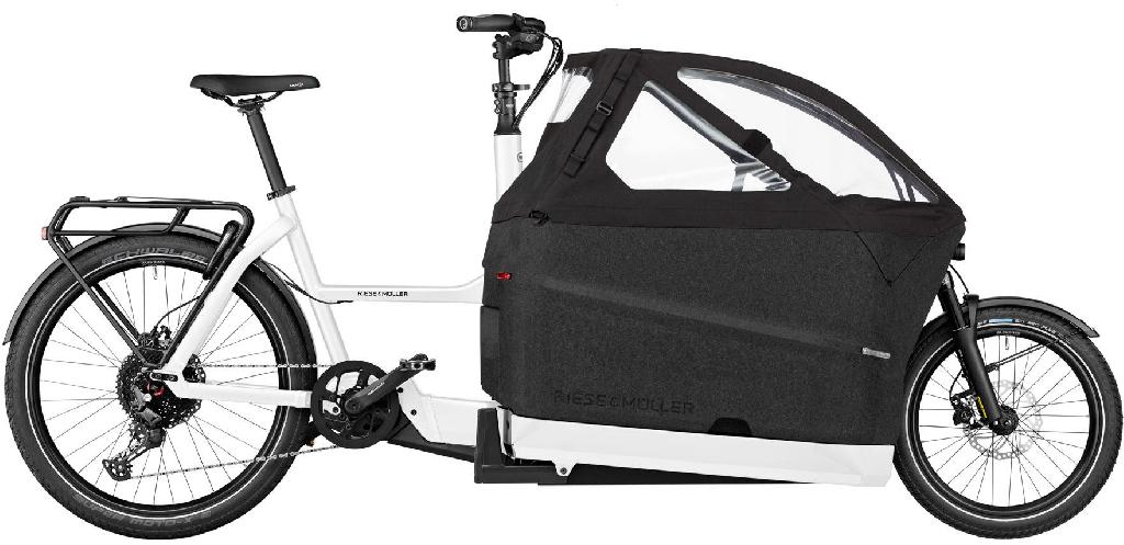 Riese & Müller Packster2 70 family