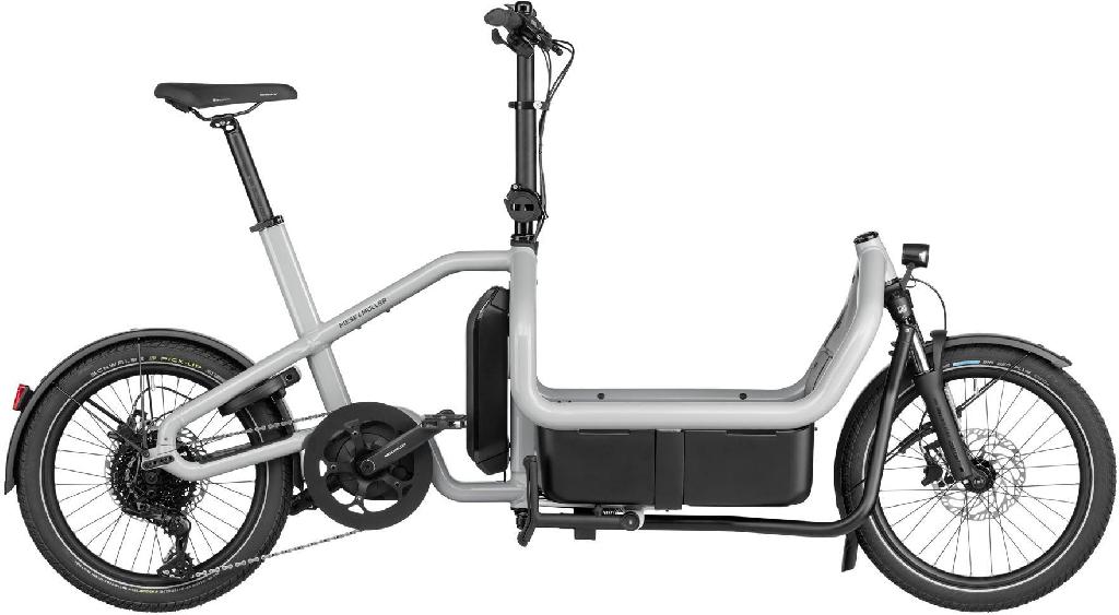 Riese & Müller Carrie touring