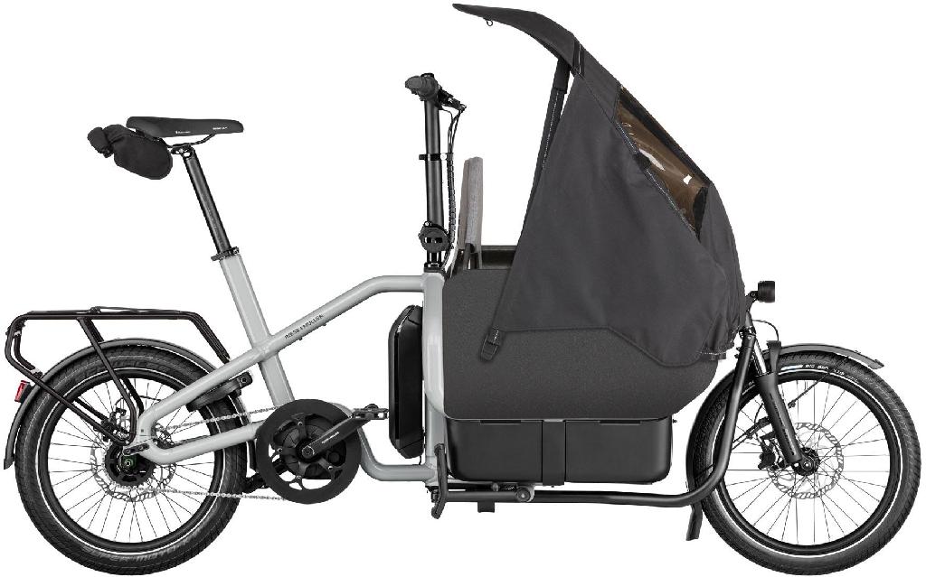 Riese & Müller Carrie EASY