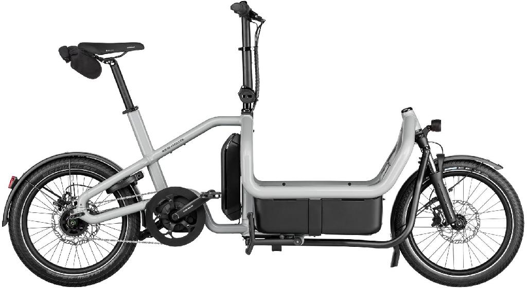 Riese & Müller Carrie2 city