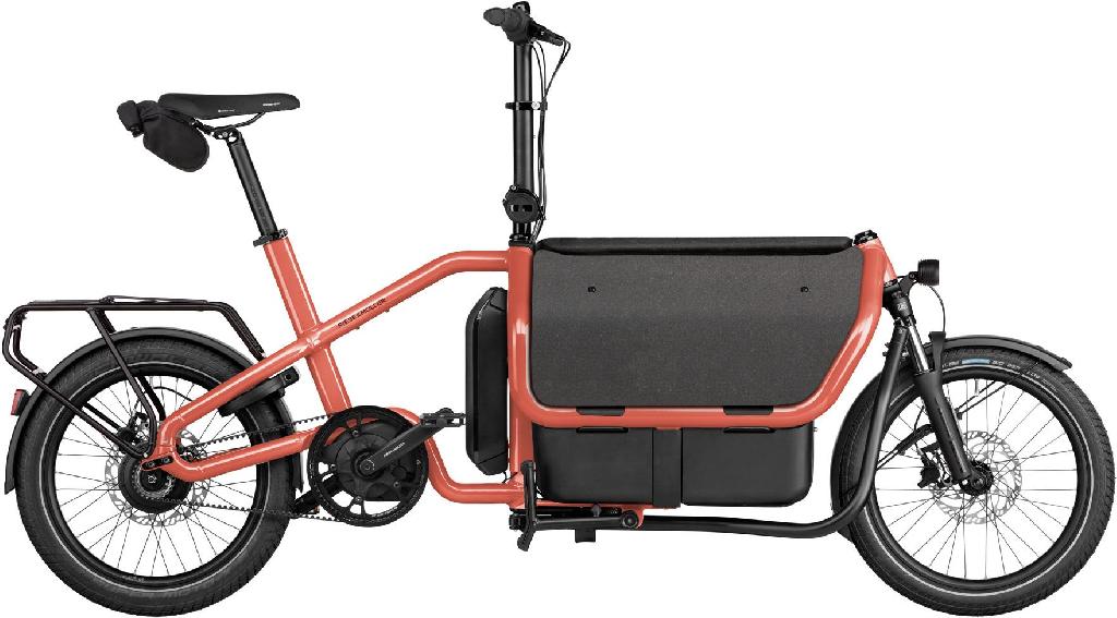 Riese & Müller Carrie2 vario