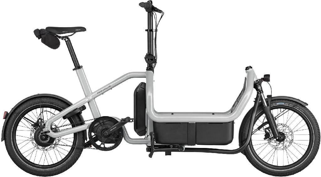 Riese & Müller Carrie2 vario