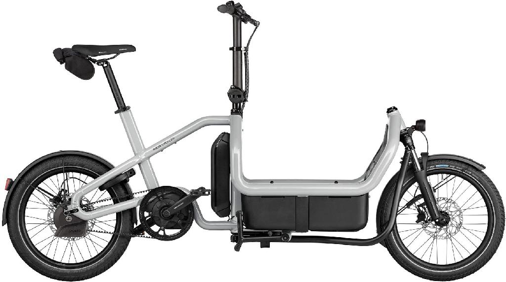 Riese & Müller Carrie2 automatic