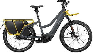 Riese & Müller Multicharger2 Mixte GT vario HS