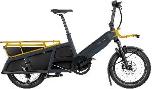 Riese & Müller Multitinker touring