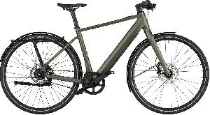 Riese & Müller UBN Five silent