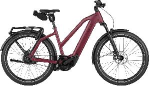 Riese & Müller Charger5 Mixte vario