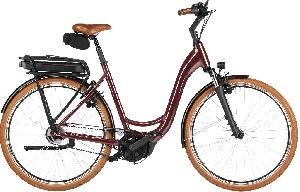 Riese & Müller Swing5 rücktritt