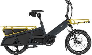 Riese & Müller Multitinker2 touring