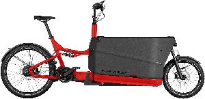 Riese & Müller Packster2 70 CT vario