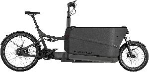 Riese & Müller Packster2 70 CT vario