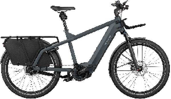 Riese & Müller Multicharger2 GT rohloff