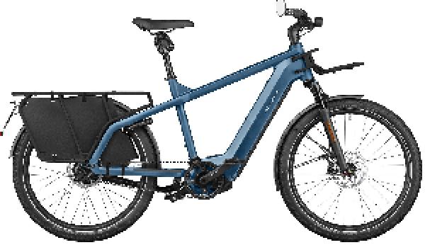 Riese & Müller Multicharger2 GT rohloff HS