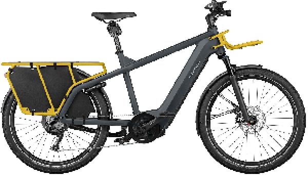 Riese & Müller Multicharger2 GT touring