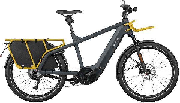 Riese & Müller Multicharger2 GT touring HS