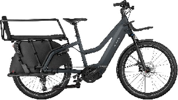 Riese & Müller Multicharger2 Mixte GT family