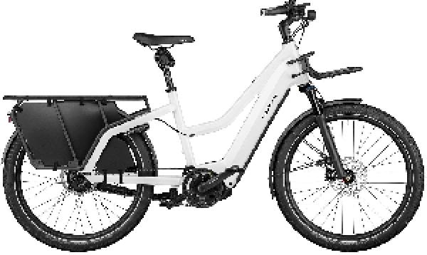 Riese & Müller Multicharger2 Mixte GT rohloff