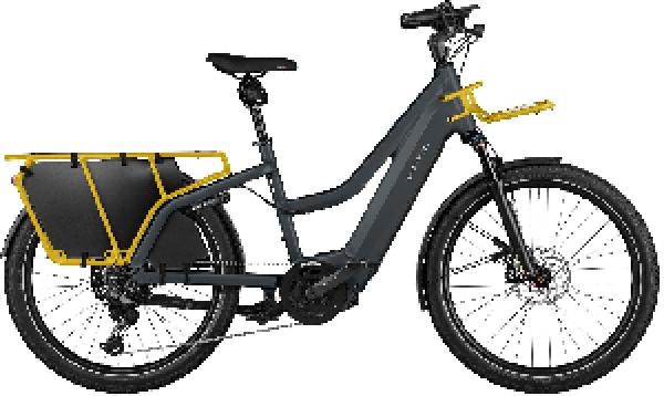 Riese & Müller Multicharger2 Mixte GT touring