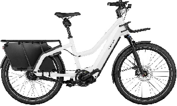 Riese & Müller Multicharger2 Mixte GT vario