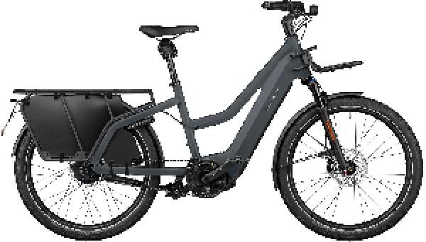 Riese & Müller Multicharger2 Mixte GT vario HS