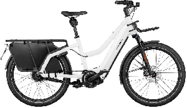 Riese & Müller Multicharger2 Mixte GT vario HS