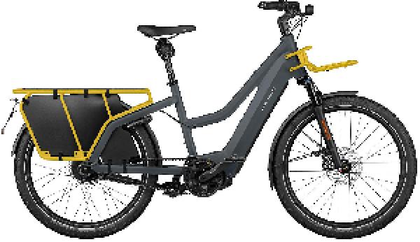 Riese & Müller Multicharger2 Mixte GT vario HS