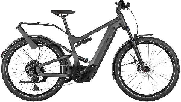 Riese & Müller Delite4 GT touring