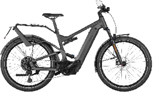 Riese & Müller Delite4 GT touring HS