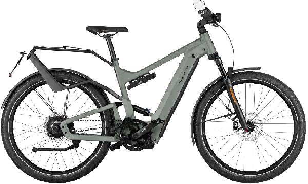 Riese & Müller Delite4 GT vario HS