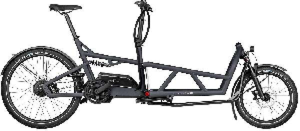 Riese & Müller Load4 60 vario