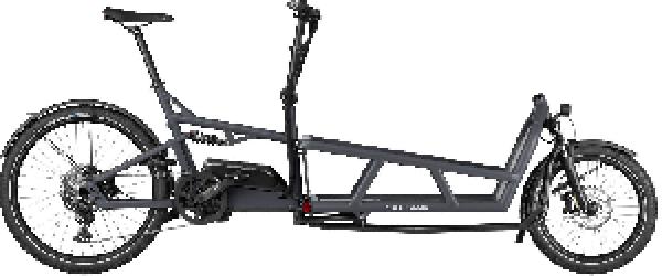 Riese & Müller Load4 75 touring