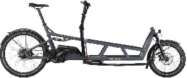 Riese & Müller Load4 75 vario