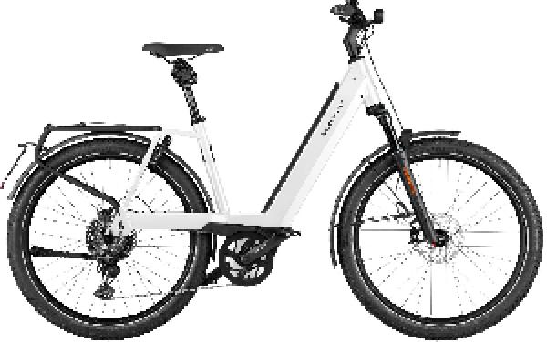 Riese & Müller Nevo4 GT touring HS