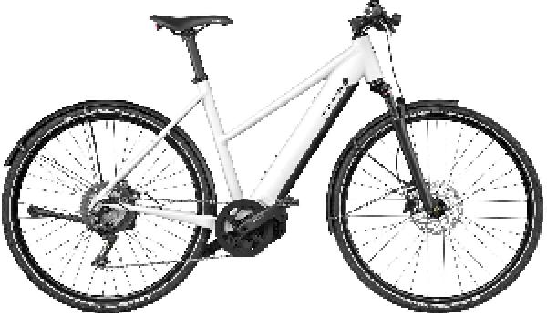 Riese & Müller Roadster4 Mixte touring