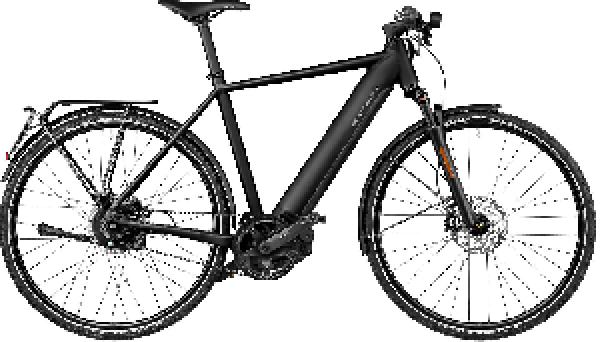 Riese & Müller Roadster4 vario HS