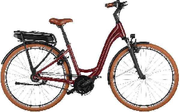 Riese & Müller Swing4 silent