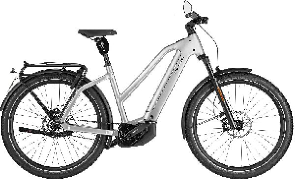 Riese & Müller Charger5 Mixte pinion HS