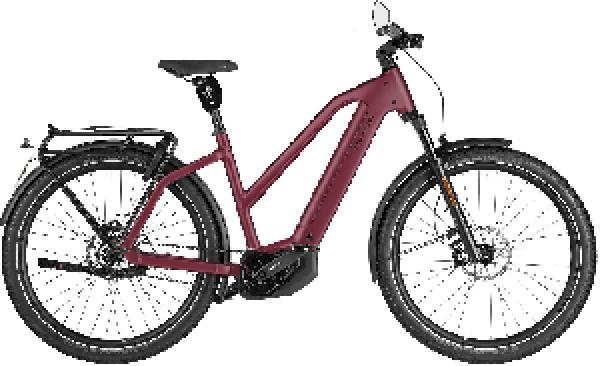 Riese & Müller Charger5 Mixte pinion HS