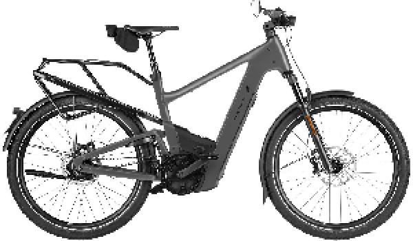 Riese & Müller Delite5 rohloff HS