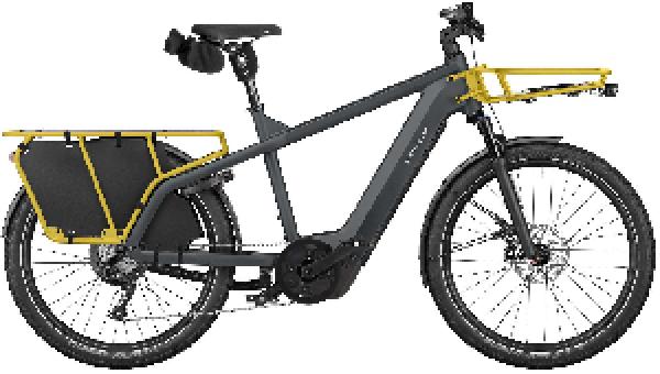 Riese & Müller Multicharger3 touring