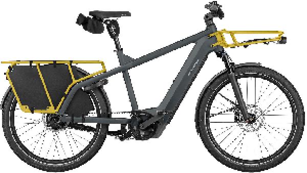 Riese & Müller Multicharger3 rohloff