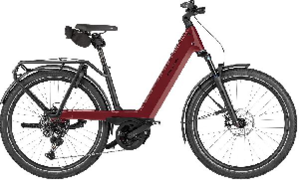 Riese & Müller Nevo5 touring