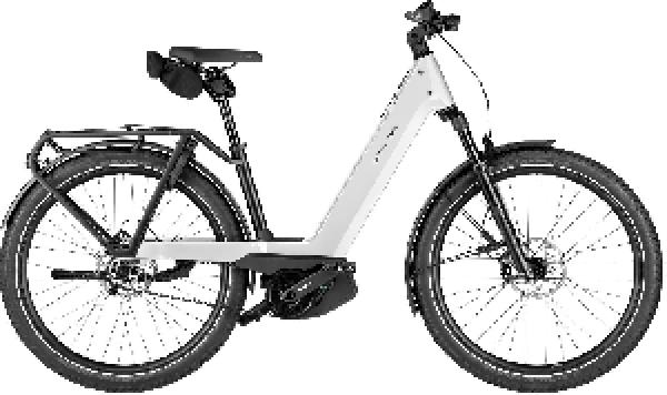 Riese & Müller Nevo5 pinion