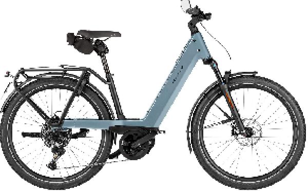 Riese & Müller Nevo5 touring HS