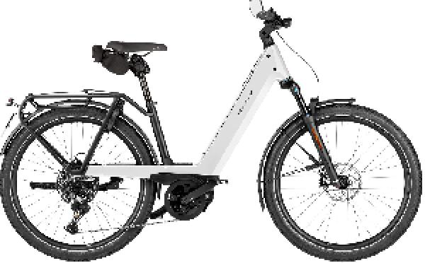 Riese & Müller Nevo5 touring HS