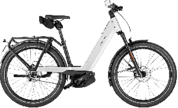 Riese & Müller Nevo5 pinion HS