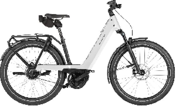 Riese & Müller Nevo5 vario