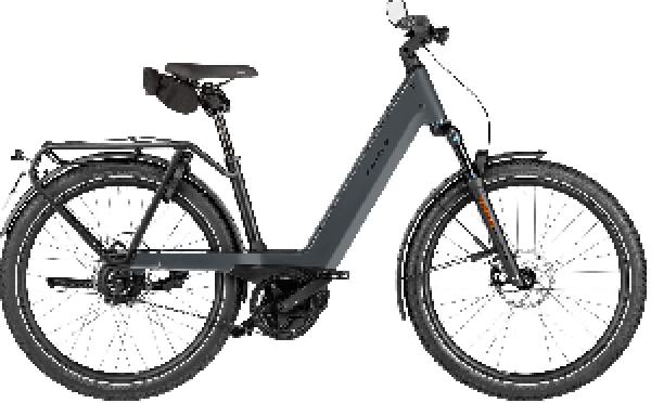 Riese & Müller Nevo5 vario HS