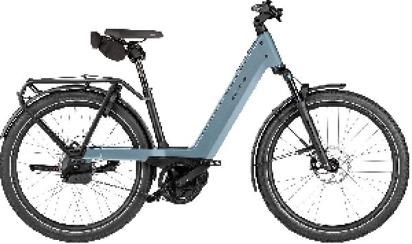 Riese & Müller Nevo5 automatic