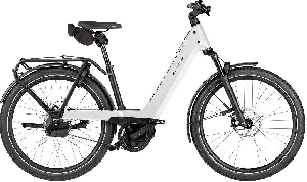 Riese & Müller Nevo5 automatic